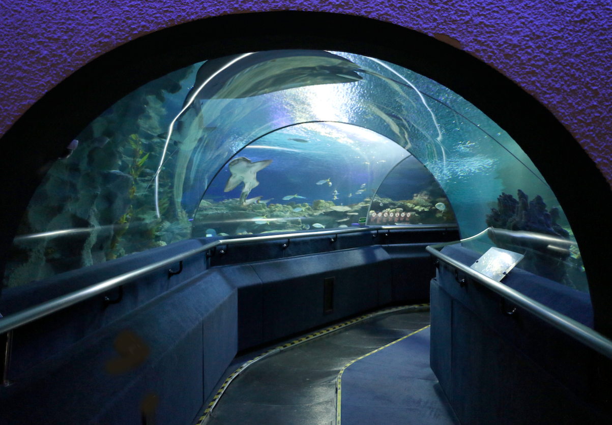 Aquaria KLCC - Book tickets online at FunMalaysia